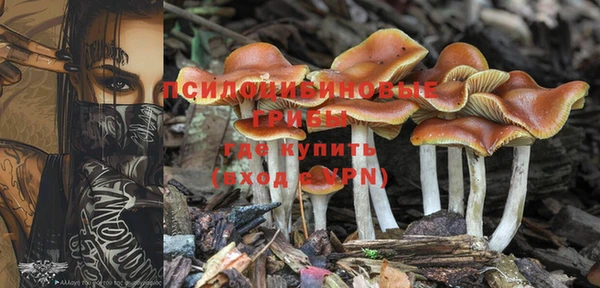 гашиш Белокуриха