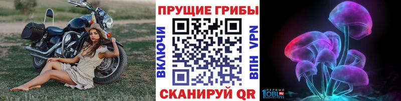 Галлюциногенные грибы MAGIC MUSHROOMS Няндома