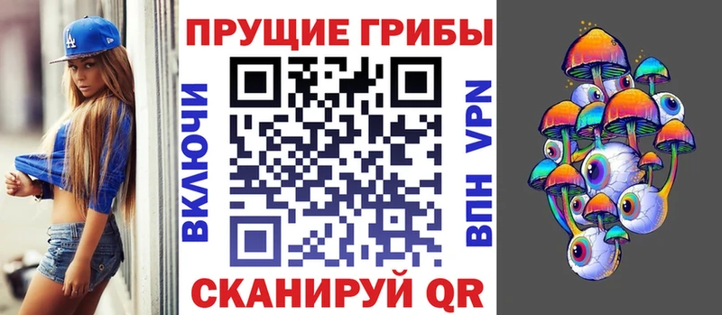 Галлюциногенные грибы GOLDEN TEACHER  купить наркоту  Няндома 